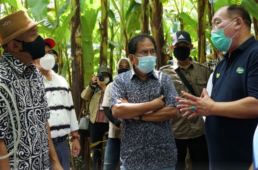  Kementerian ATR/BPN Dorong Pemanfaatan Tanah di Lampung