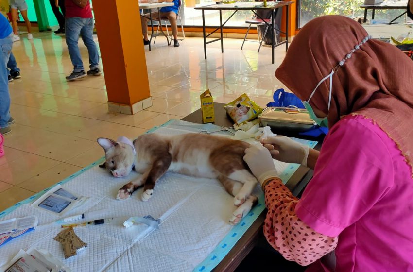  KPKP Jaksel Bekerja Sama dengan Radhiyan Pet & Care, Lakukan Vaksinasi Kucing Gratis