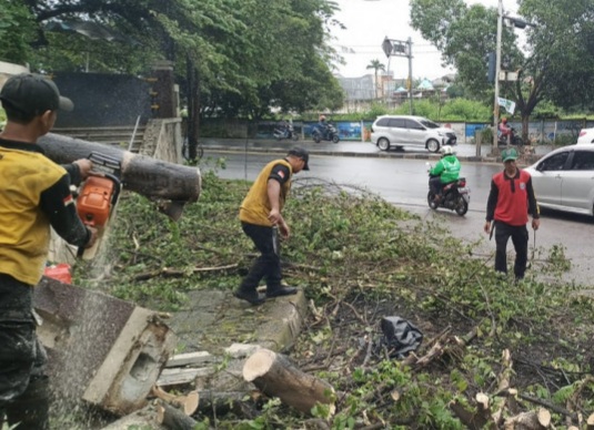  Akibat Hujan dan Angin Kencang Sejumlah Pohon di Kota Depok Tumbang