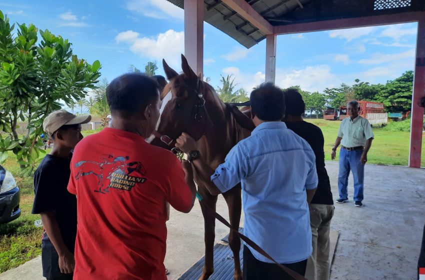  Latber Pacuan Kuda Seri II Triple Crown 21 Mei di Pangandaran