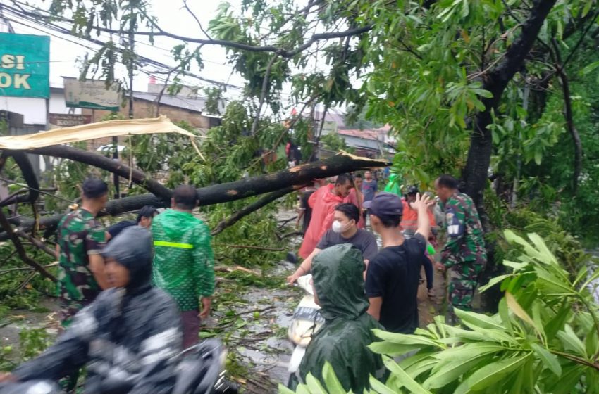  Hujan Deras Guyur Kota Depok Mengakibatkan Pohon Tumbang dan Genangan Air