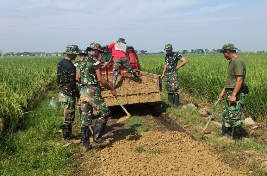  Melalui TMMD Ke 115, Warga Desa Kertajaya Bersama TNI Tuntaskan Sasaran Fisik 