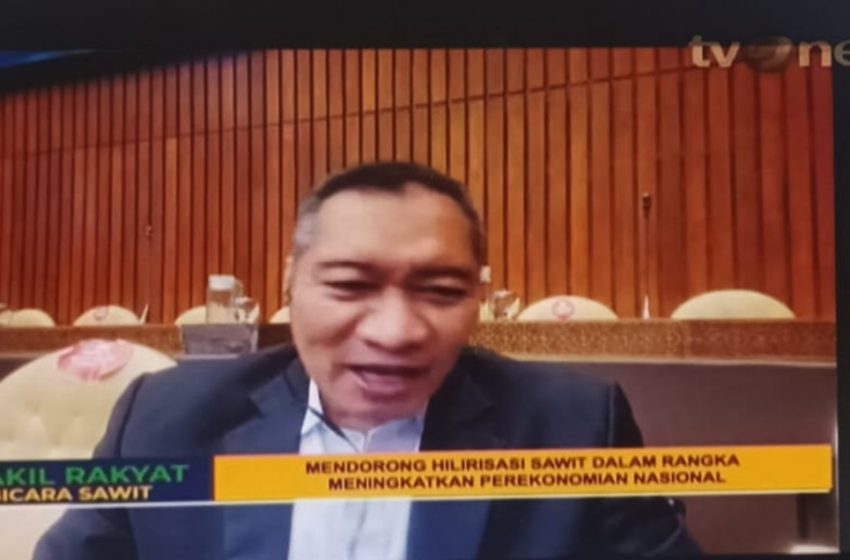  Anggota Komisi IV DPR RI: Indonesia Miliki Potensi untuk Memasarkan Produk Kelapa Sawit dan Turunanya