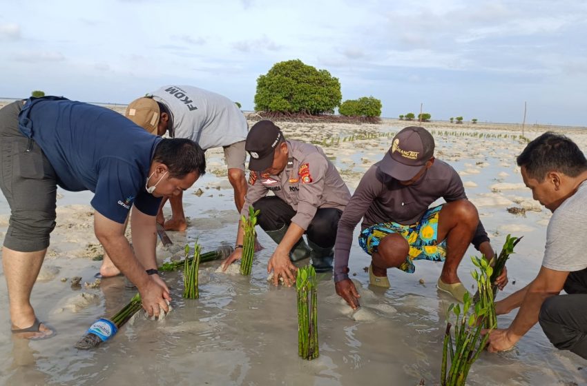  Kapolsubsektor Pulau Pari Tanam 10.000 Mangrove di Pantai Rengge
