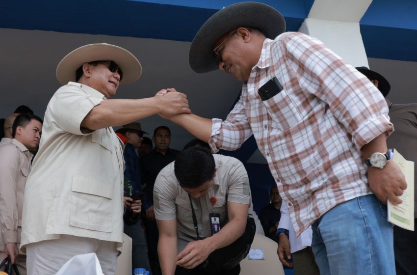  Dukung Rakyat Minang Jadi Atlet Berkuda, Prabowo Siapkan Bibit Kuda Unggalan