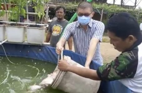 Launching Grosir Ikan Air Tawar di Bawah Tol Pamulang 