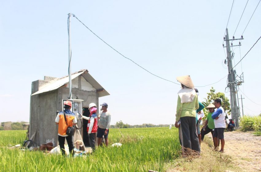  Dirut PLN: Program Electrifying Agriculture Dukung Sektor Agrikultur Dengan Memanfaatkan Listrik