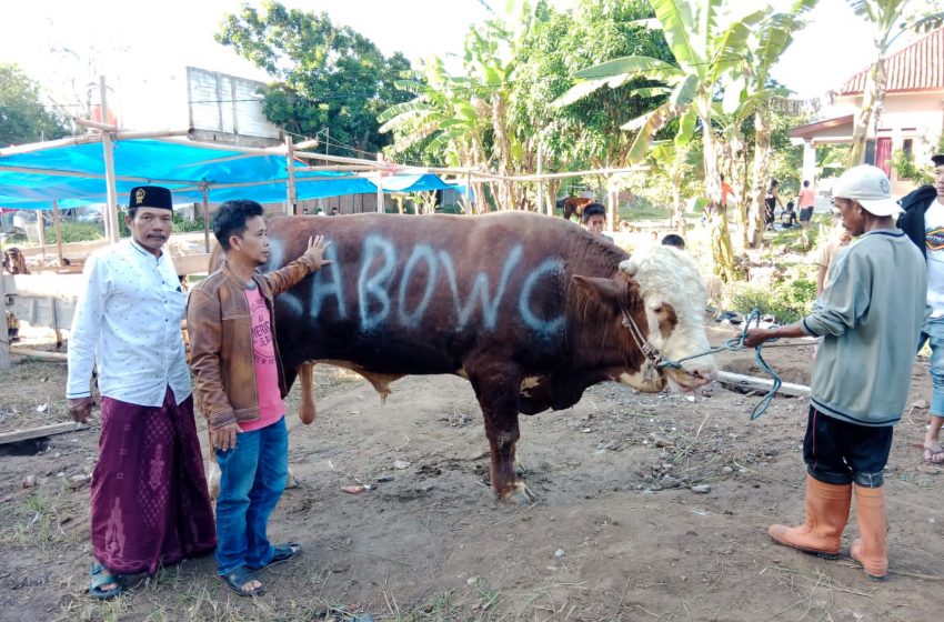  Prabowo Salurkan Puluhan Hewan Qurban ke Ponpes-ponpes dan Ormas Keagamaan di Jawa Barat