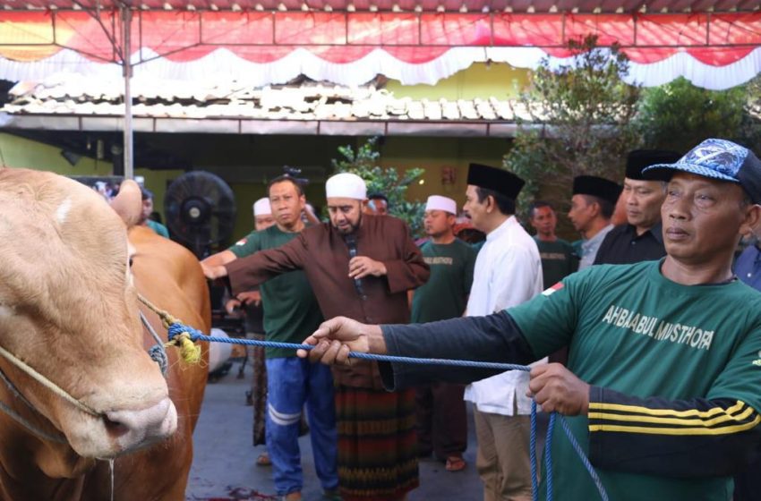  Habib Syech Pimpin Langsung Pemotongan Sapi Qurban dari Prabowo
