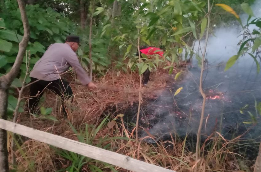  Sinergitas Polsek Kepulauan Seribu Selatan dan Instansi Terkait Padamkan Kebakaran di Pulau Tidung