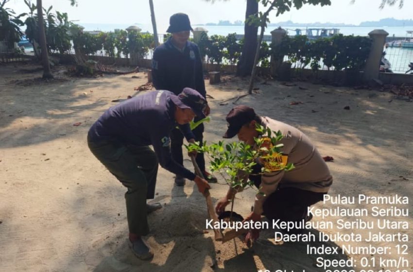  Bhabinkamtibmas Pulau Pramuka Gencar Tanam Pohon untuk Kurangi Polusi Udara