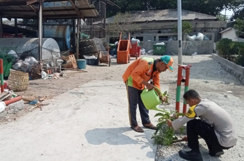  Bhabinkamtibmas Pulau Panggang dan Pulau Pramuka Giat Tanam Pohon Demi Lingkungan Bersih dan Sehat