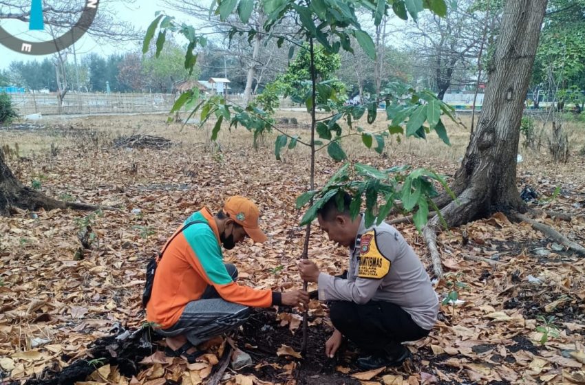  Polsek Kepulauan Seribu Utara Bersama Warga Gencar Tanam Pohon untuk Bersihkan Udara