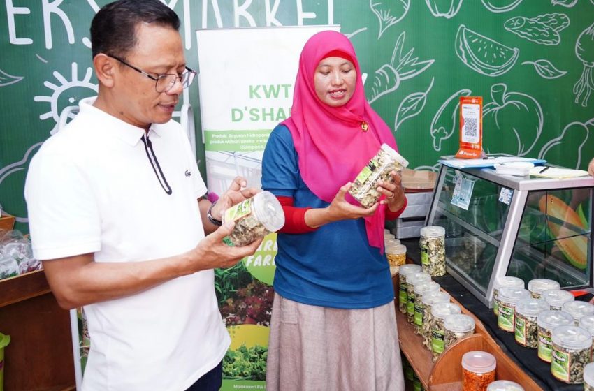  GM PLN UID Jakarta Raya Lasiran: PLN Siap Dukung Metode Smart Farming Sebagai Inovasi di Sektor Pertanian