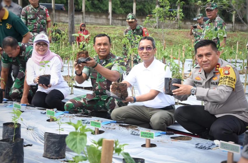 Pangdam Jaya Pimpin Urban Farming Penanaman Pohon Buah dan Cabai Serentak 