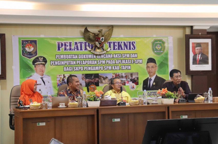  Kemendagri Terima Audiensi Kabupaten Tapin untuk Konsultasi Penerapan SPM