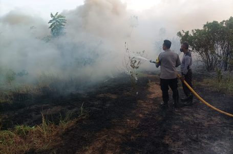 Bhabinkamtibmas Pulau Pari Bantu Damkar Padamkan Kebakaran Lahan Ilalang di Pantai Perawan