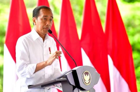 Presiden Jokowi Apresiasi TNI-Polri Atas Kebebasan Pilot Susi Air