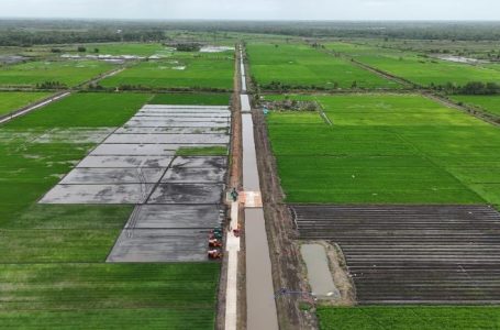 Petani dan Masyarakat Paham Cetak Sawah di Kabupaten Merauke Menguntungkan