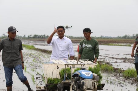 Cetak Sawah Menciptakan Lapangan Kerja Baru di Sektor Pertanian dan Mendorong Perekonomian Desa