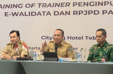 Kemendagri Selenggarakan Training of Trainer Penginputan E-Walidata dan RPJPD SIPD RI